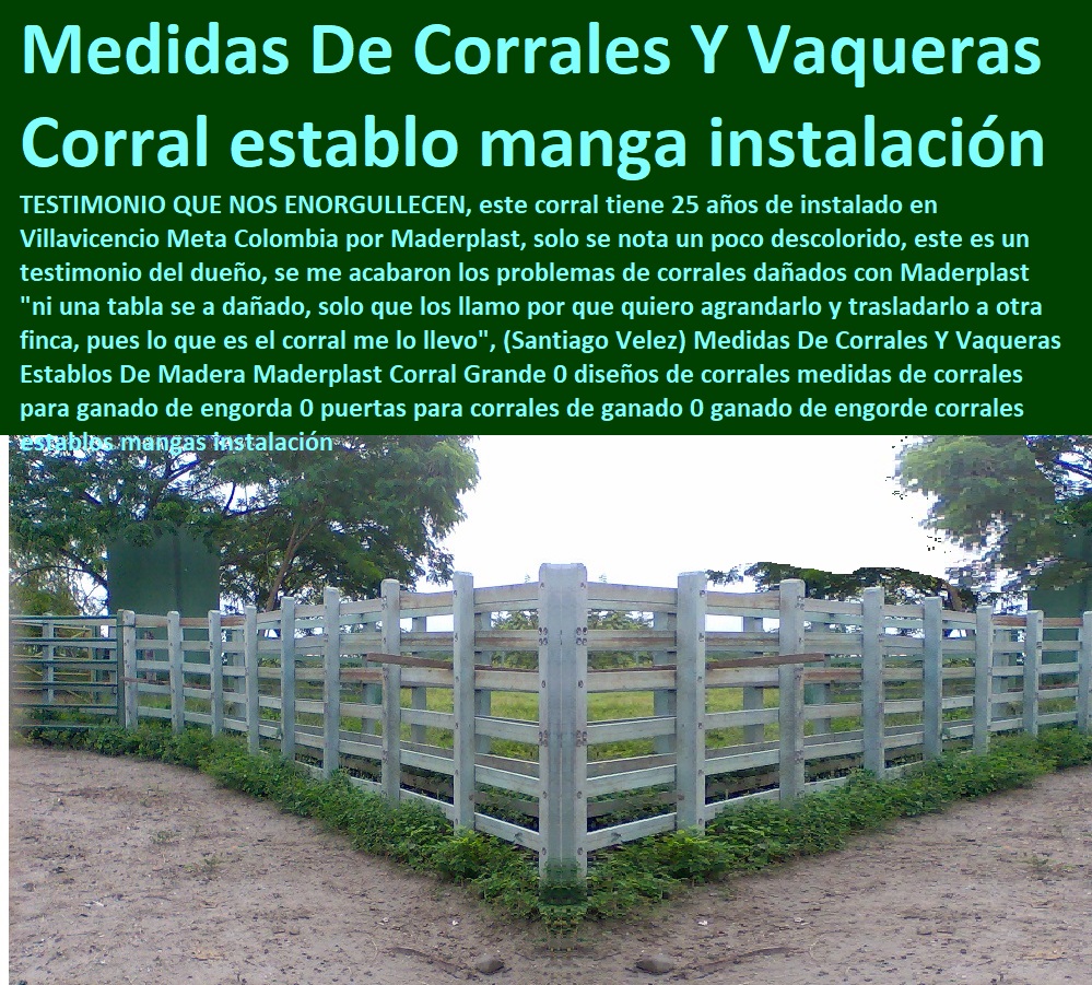 Corrales Grandes Ganadería Intensiva Corral Estabulado Establos Maderplast 0 Corrales Establos Ecológicos Maderplast 0 Sistemas de Pastoreo, Estabulación de Ganado, Pastoreo Intensivo, Establos, Corrales, Saladeros, Comederos, Cerramientos, Postes, Ganaderías Tecnificadas, Ganaderías Tecnificadas, Explotación Ganadera Automatizada, ¿Qué Hace Un Tecnologo en Produccion Ganadera 0 Diseños de Corrales Para Ganado 0 Soluciones Para la Ganadería Corrales Grandes Ganadería Intensiva Corral Estabulado Establos Maderplast 0 Corrales Establos Ecológicos Maderplast 0 ¿Qué Hace Un Tecnologo en Produccion Ganadera 0 Diseños de Corrales Para Ganado 0 Soluciones Para la Ganadería